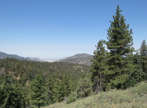 Jeffrey pines McGill Trail hike San Emigdio Mountains Tecuya Ridge Mount Pinos Los Padres National Foreest