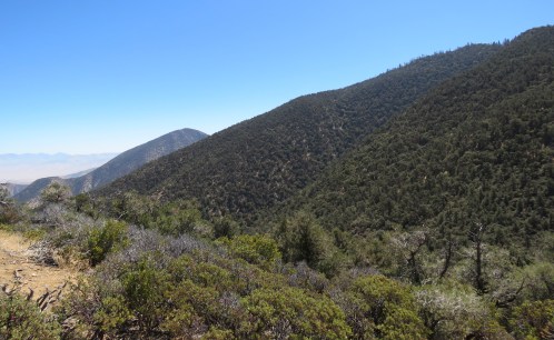 Eagle Rest Peak trail hike San Emigdio Mountains Los Padres National Forest