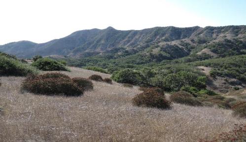 Montañon Ridge Peak hike eastern Santa Cruz Island trail Channel Islands National Park