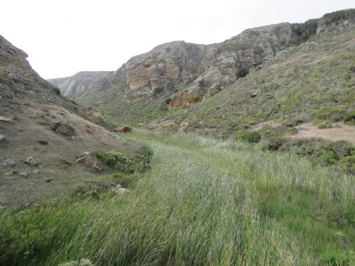 Lobo Canyon trail hike Santa Rosa Island Channel Islands National Park