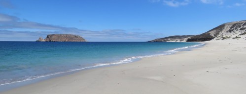 Prince Island Cuyler Harbor Beach hiking camping San Miguel Island Channel Islands National Prak