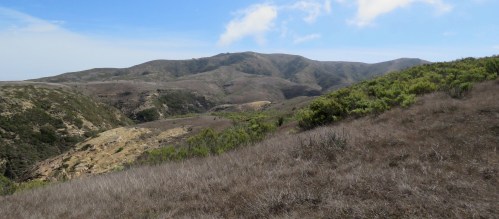 Off-trail route between Lobo and Cow Canyons Black Mountain hiking backpacking Santa Rosa Island Channel Islands National Park