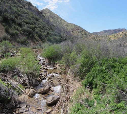 Rancho Nuevo Canyon trail hike dick smith wilderness los padres national forest