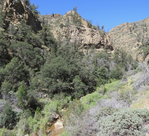 Rancho Nuevo Canyon Trail Dick Smith Wilderness Cuyama Los Padres National Forest backpacking