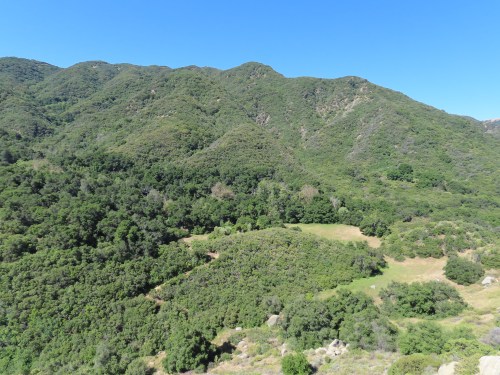 Bear Meadow Forbush Flats Camp Conestoga Frank Van Schaik Wilson Wildcats North Cold Spring Trail hiking backpacking Los Padres National Forest