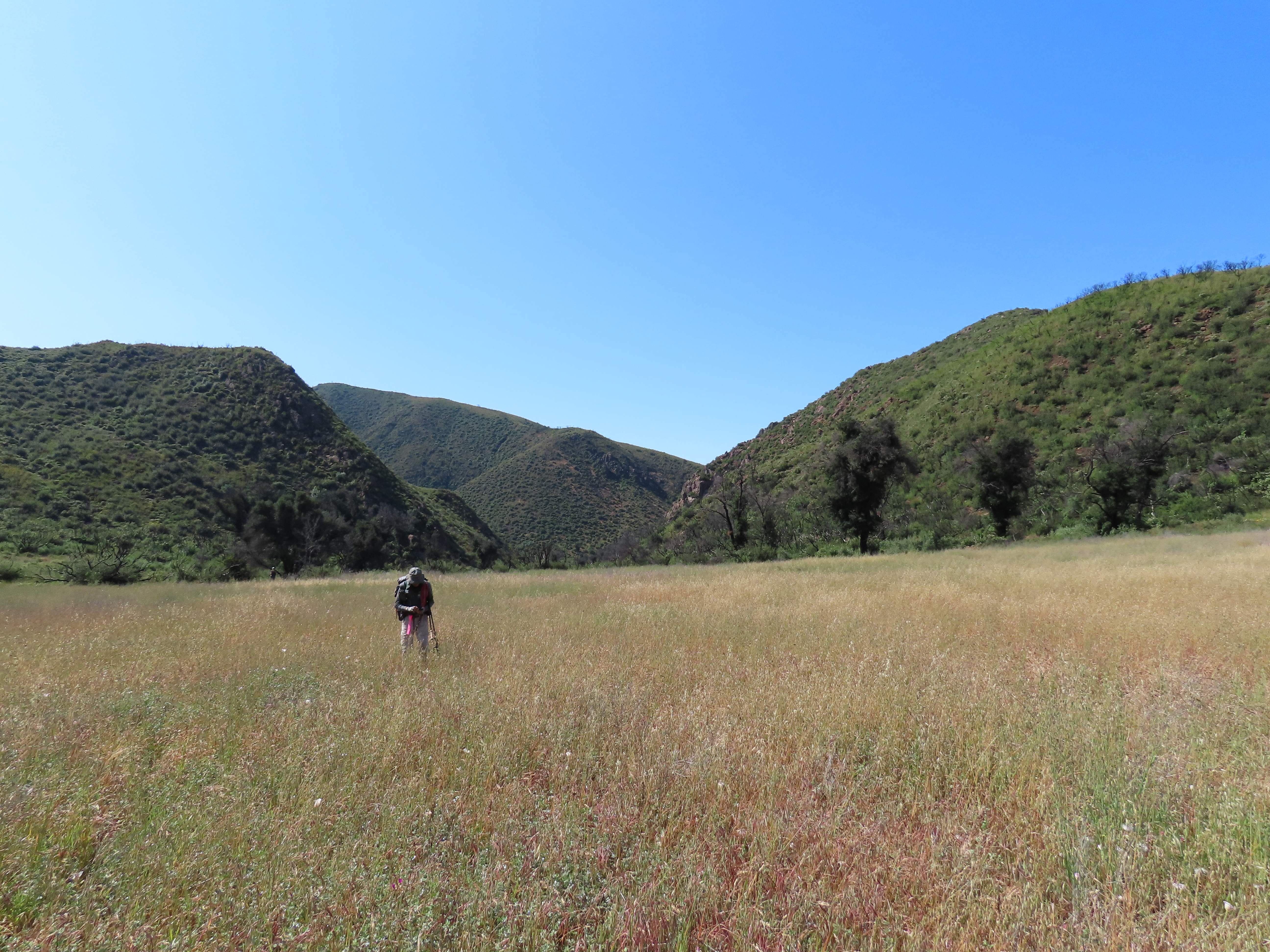 Indian Meadow hiking backpacking Dick Smith Wilderness Los Padres Natioanl Forest
