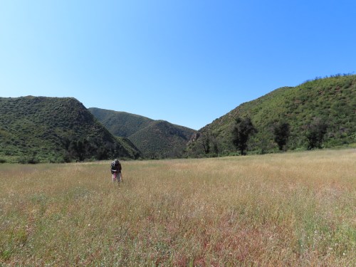 Indian Meadow hiking backpacking Dick Smith Wilderness Los Padres Natioanl Forest