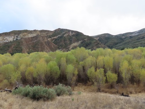 Cottonwoods Pothole Trail Sespe Wilderness Los Padres National Forest