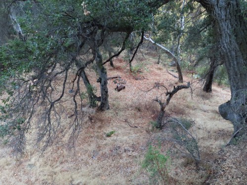 Cove Camp Agua Blanca Trail creek sespe wilderness ice can stove los padres national forest