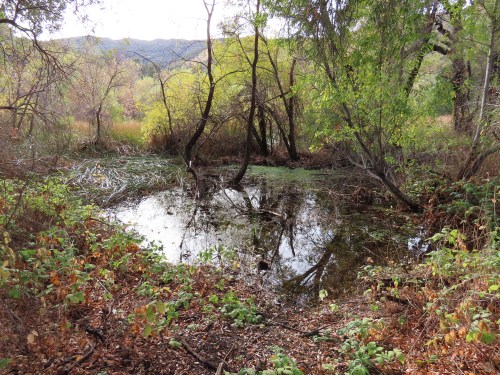 Pothole Spring Trail Sespe Wilderness Los Padres National Forest