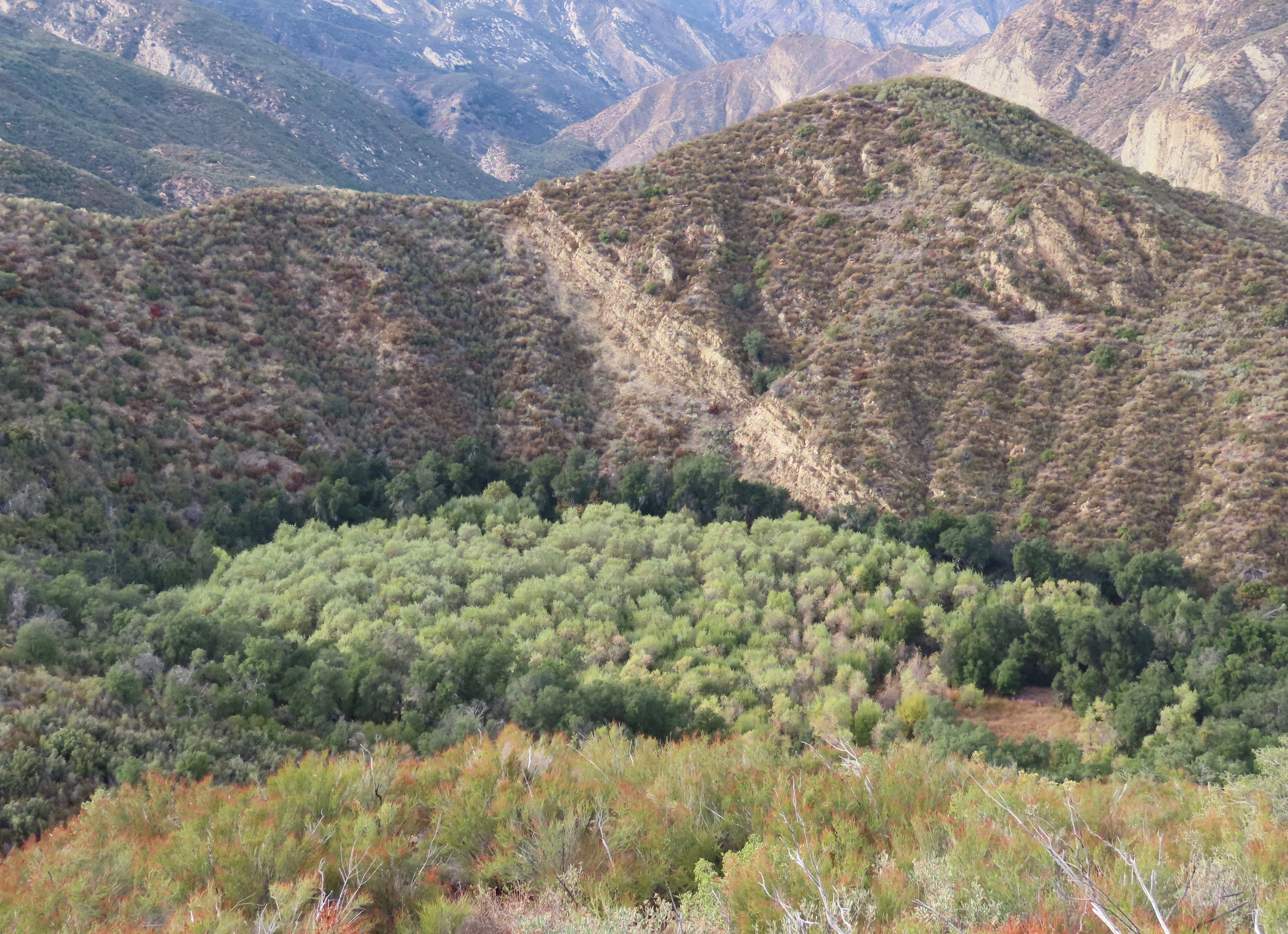 Pothole Spring Trail Sespe Wilderness Los Padres National Forest
