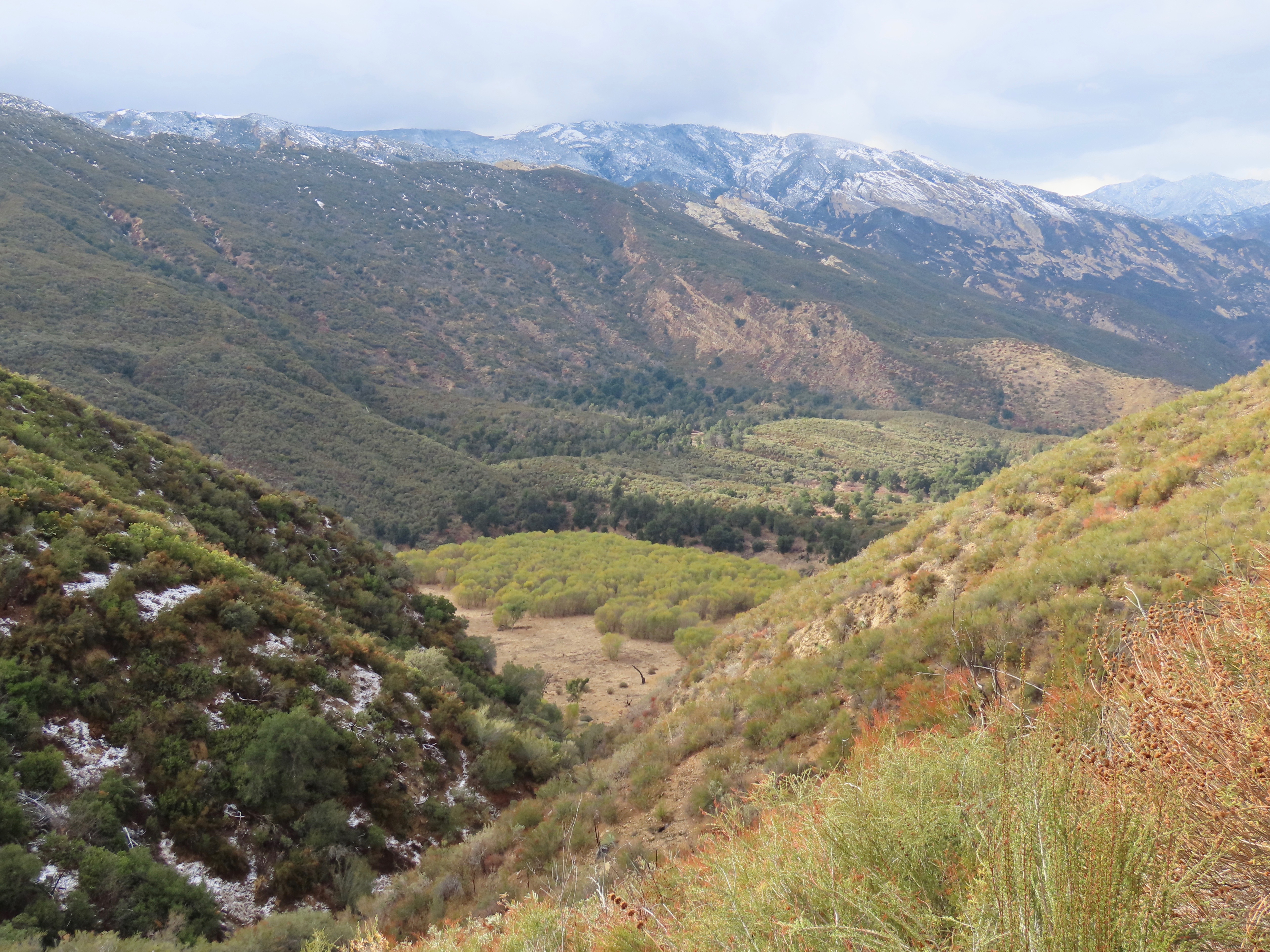 Pothole Trail Sespe Wilderness Los Padres National Forest