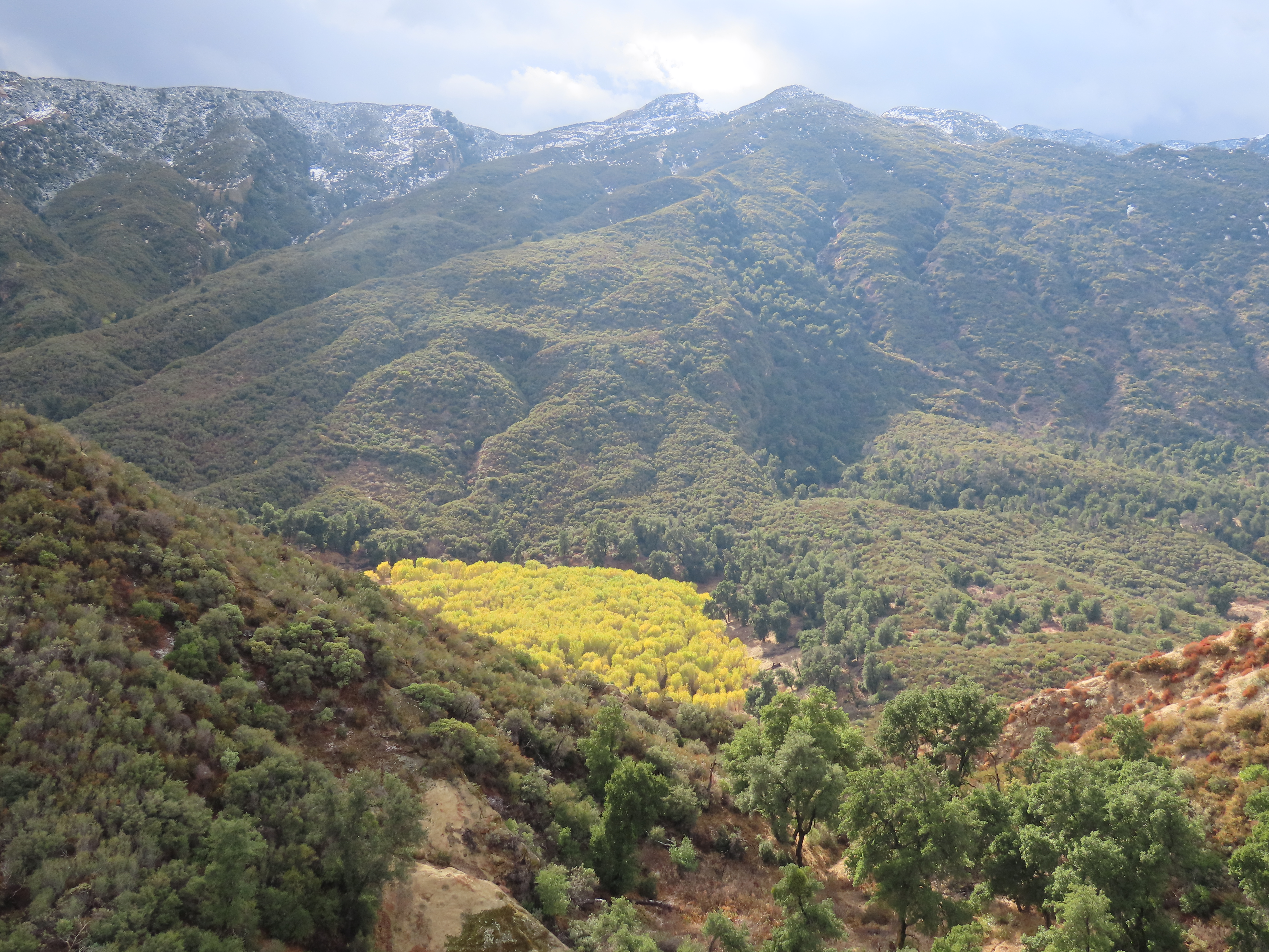 cottonwoods pothole trail sespe wilderness los padres national forest