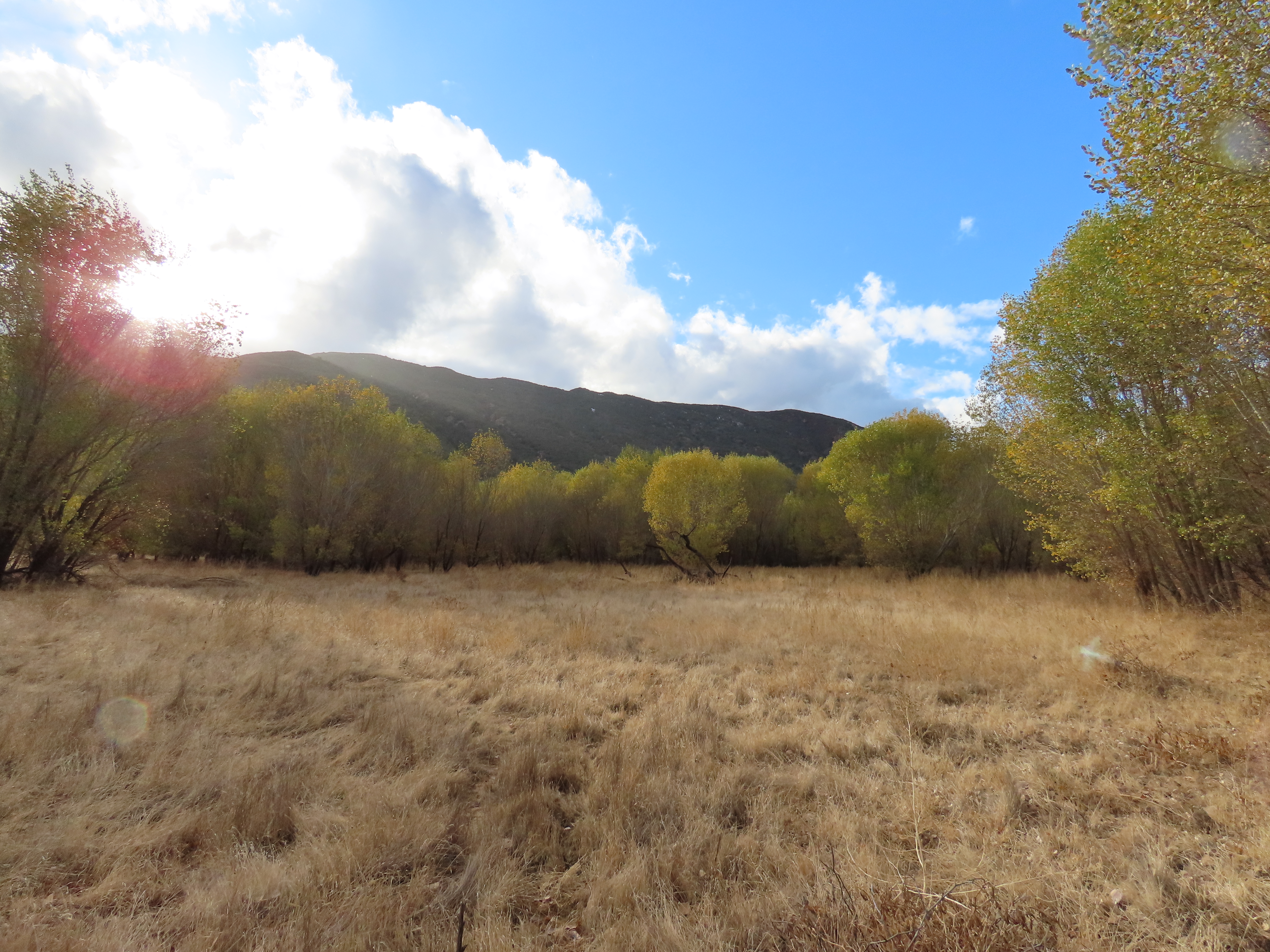 cottonwood pothole trail sespe wilderness los padres national forest
