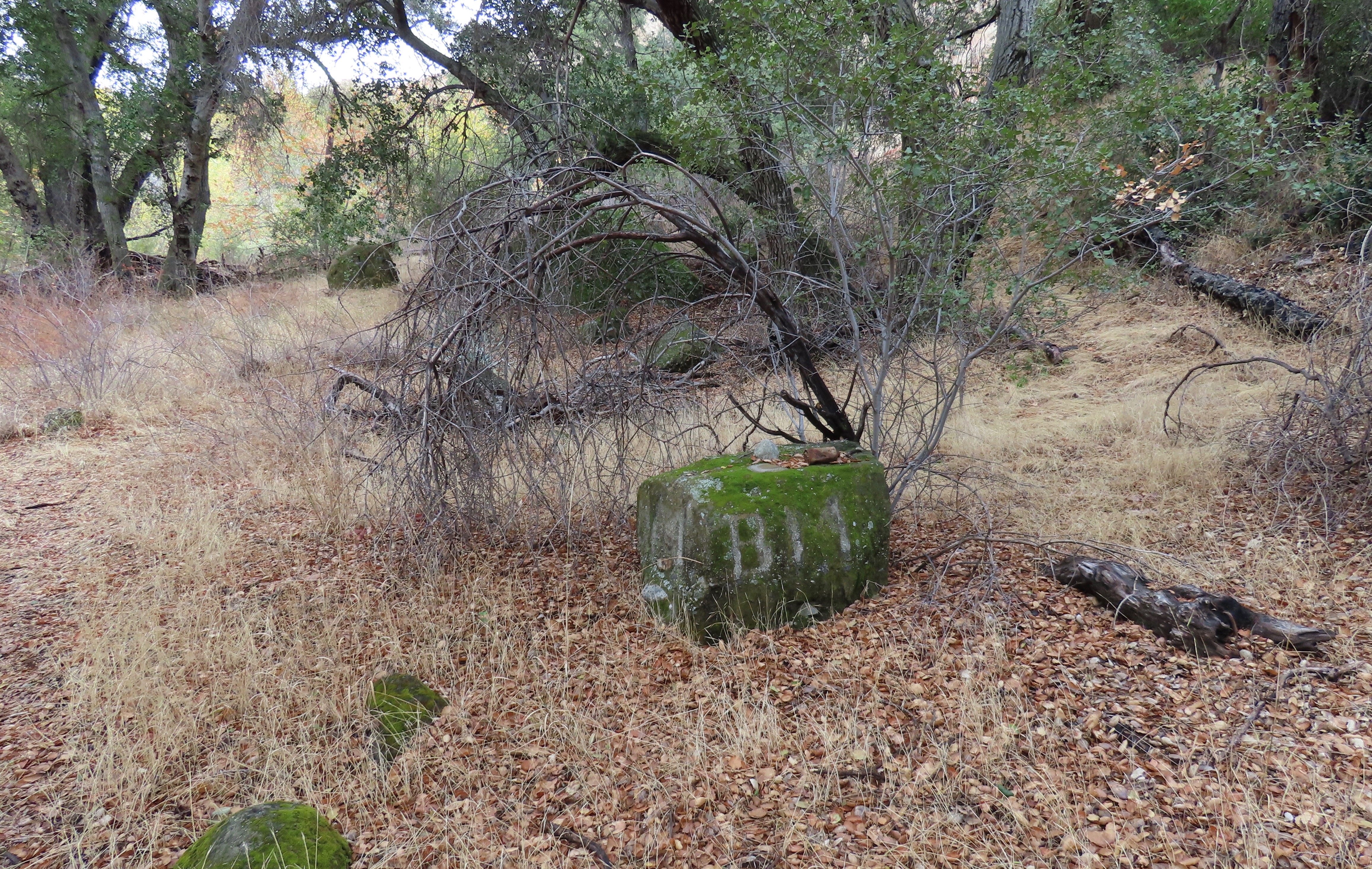 Hollister bench mark Agua Blanca Trail sespe wilderness los padres national forest