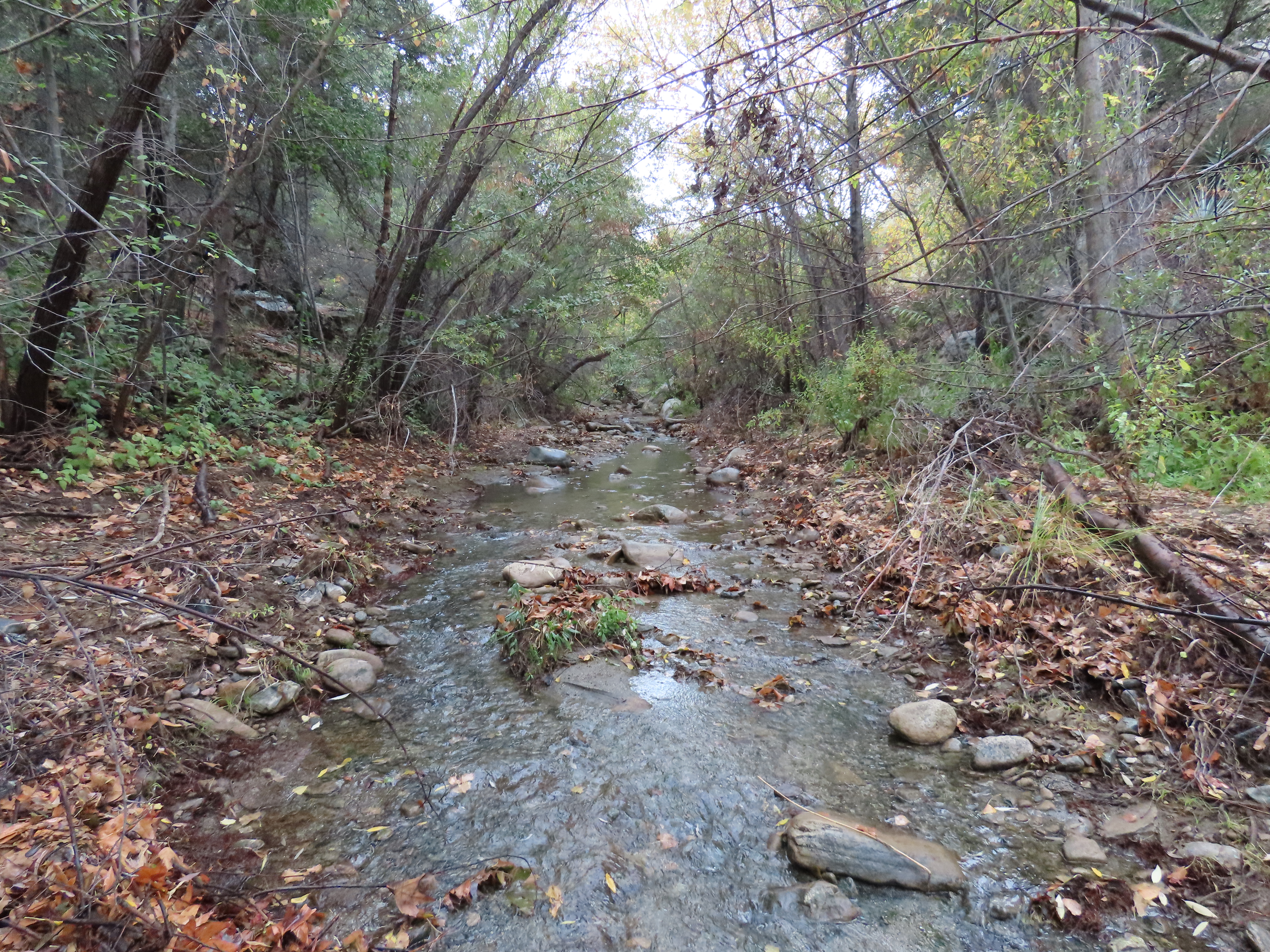 Agua Blanca Creek sespe wilderness los padres national forest