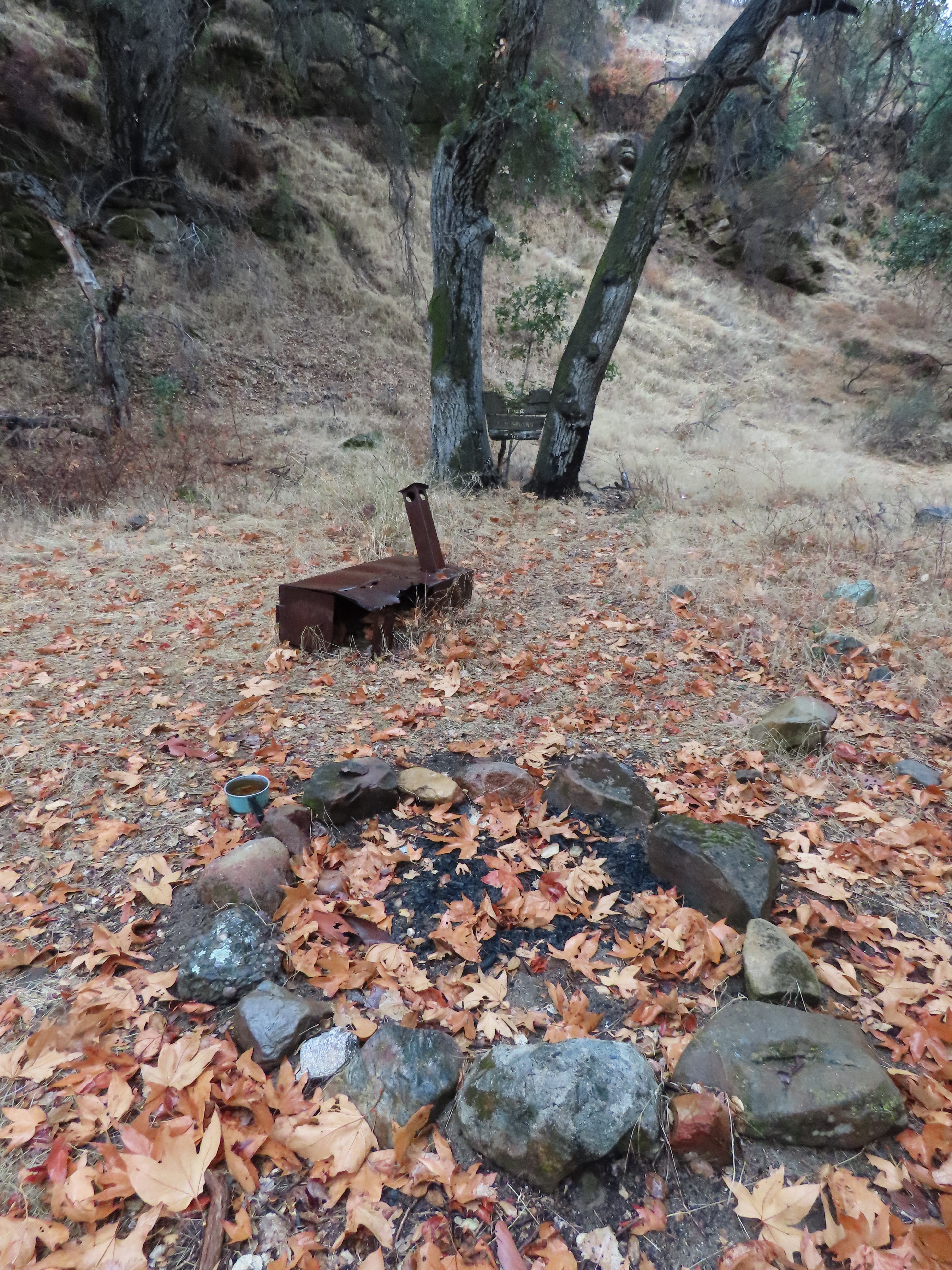 Cove Camp Agua Blanca Trail sespe wilderness los padres national forest