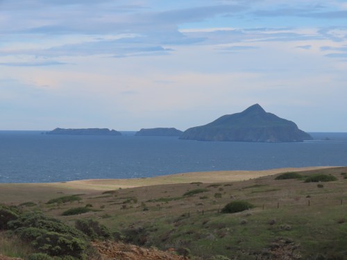 Anacapa Island Smugglers Cove Santa Cruz island Channel Islands National Park