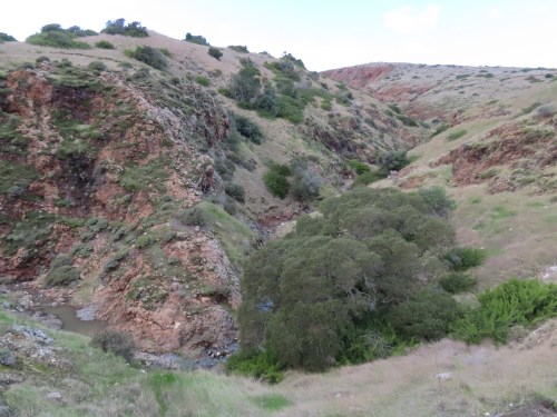 Smugglers Canyon Santa Cruz Island Channel Islands National Park