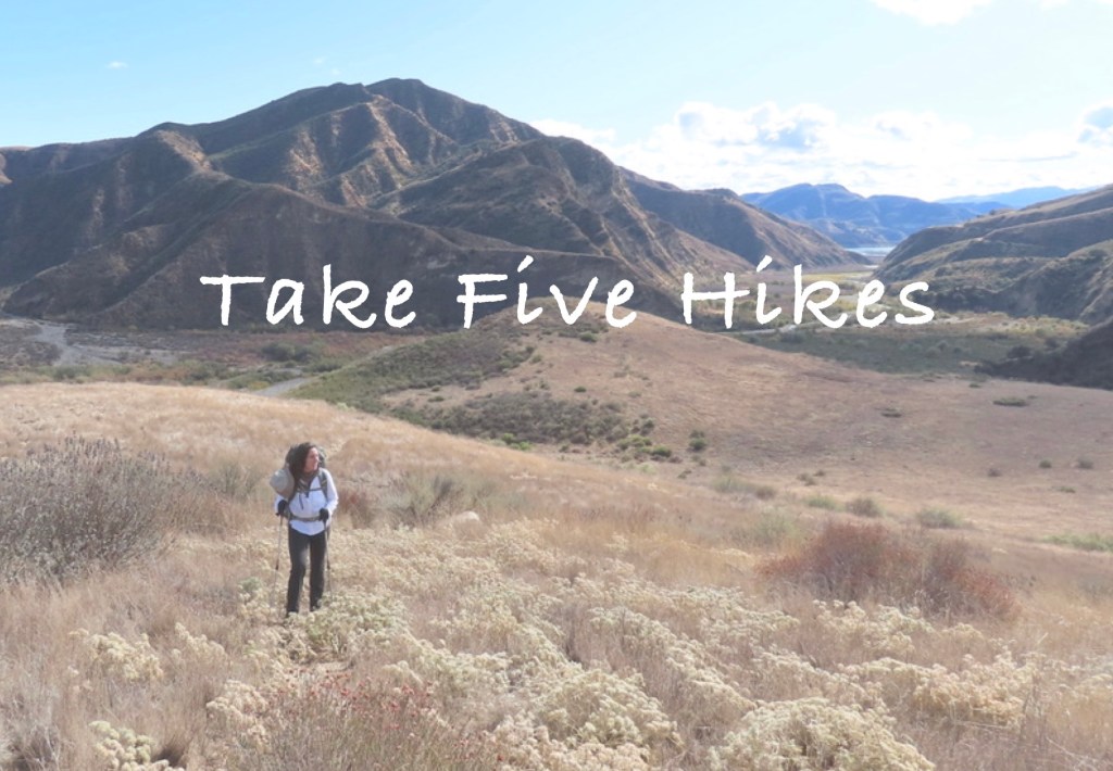 Guided hikes santa barbara geology edible medicinal plants mindfulness nature connection wilderness awareness skills